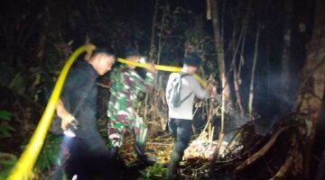 Tak Kenal Lelah, Satgas Gabungan Berjibaku Padamkan Karhutla di TNTP hingga Dini Hari