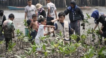 PT IMIP Padukan Pelestarian Mangrove dan Kemandirian Ekonomi Warga