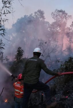 GAKKUM Tegaskan Petani Wajib Patuh Aturan Penggunaan Kawasan Hutan