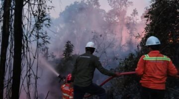 GAKKUM Tegaskan Petani Wajib Patuh Aturan Penggunaan Kawasan Hutan